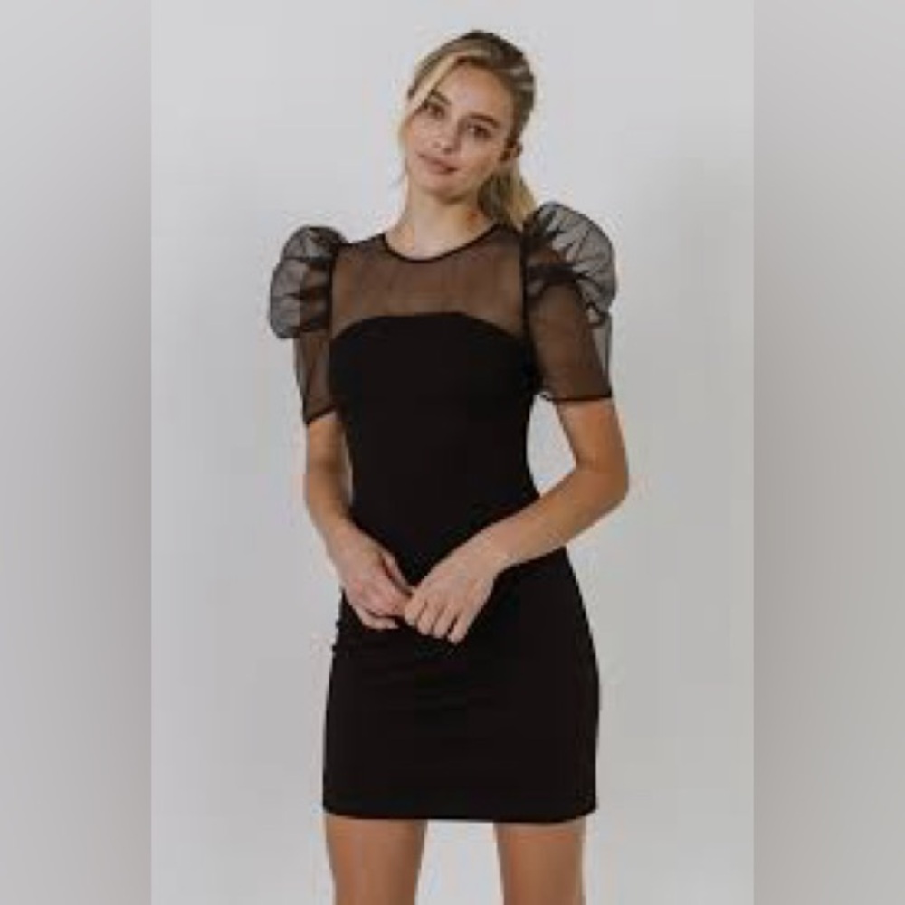 Endless Rose organza knit mini dress NWT